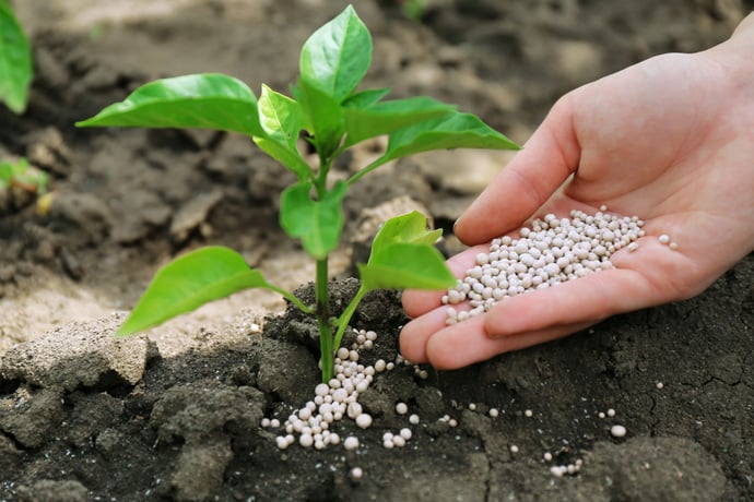 Fertilizers in 2025: From Volatility to Regulation