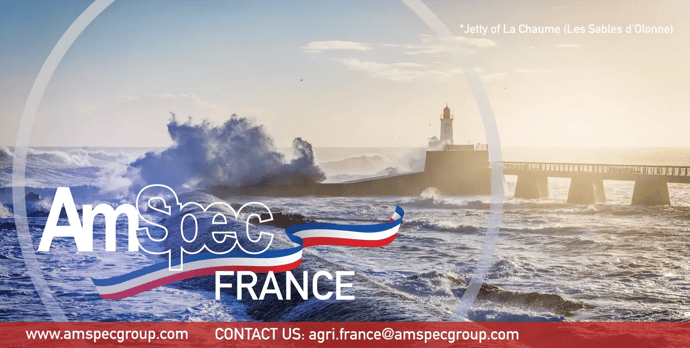 AmSpec - France